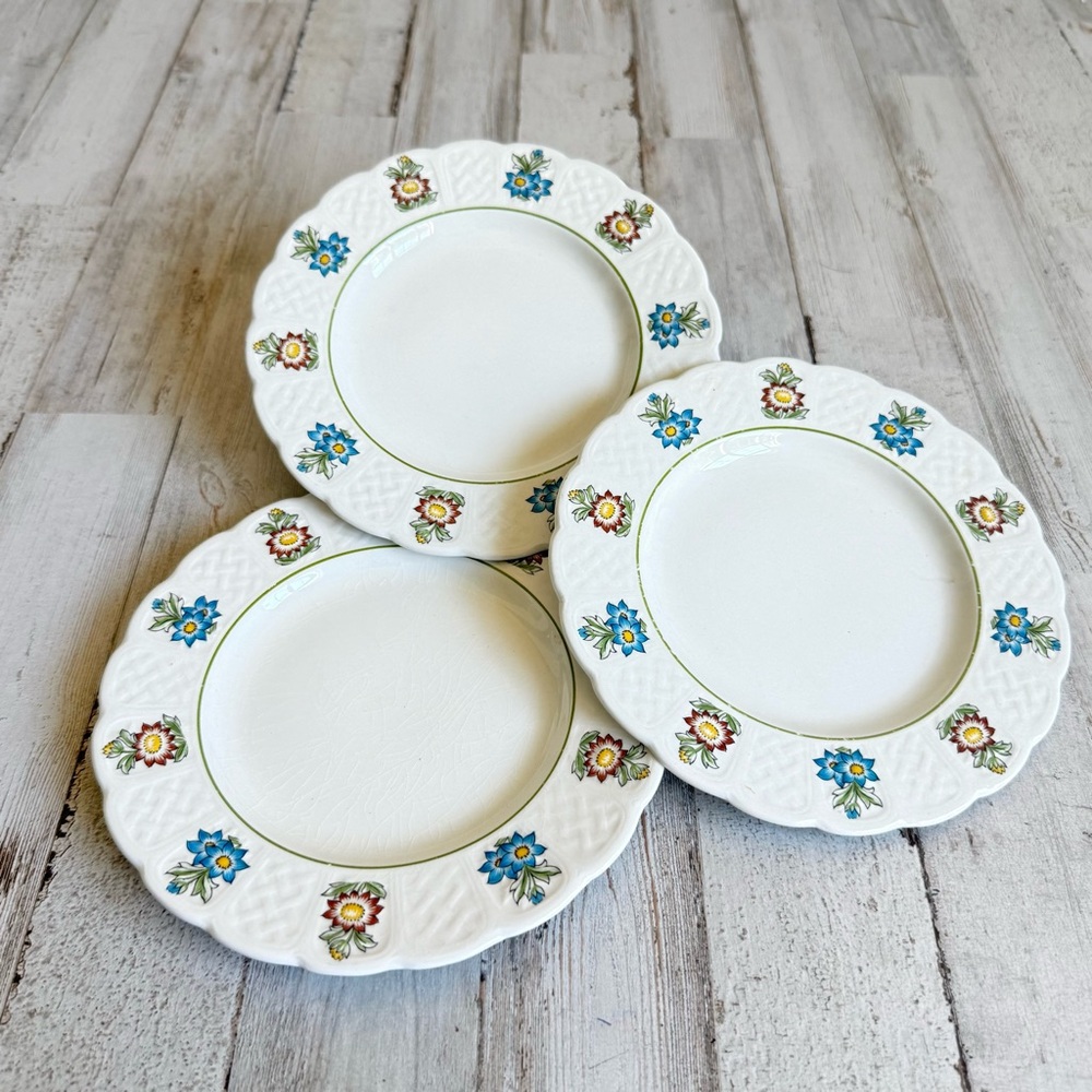 Royal Cauldon “June Garden" 6”Plates